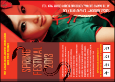 Chinese New Year Snake Club Flyer