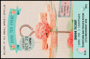 High Tea Drink Ticket