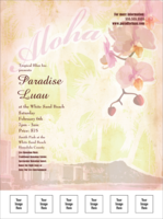 Honolulu Flyer