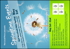 Dandelion Postcard