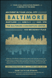 Baltimore Poster