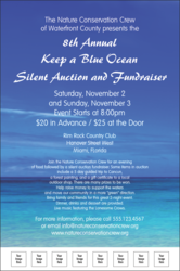 Nature Series - Blue Ocean Logo Poster
