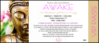 Buddha Statue VIP Pass
