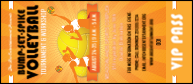 Volleyball Sun Rays VIP Pass