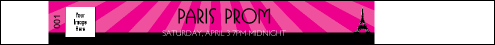 Paris Pink and Black Premium Synthetic Wristband