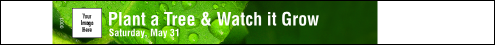 Leaf Tyvek Pro Wristband Leaf Tyvek Pro Wristband