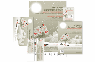Winter Bird Event Kit