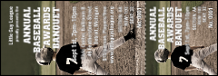 Baseball Reserved Event Ticket