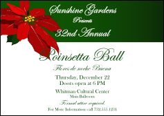 Christmas Poinsettia Postcard