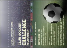 Soccer Stadium Postcard Mailer