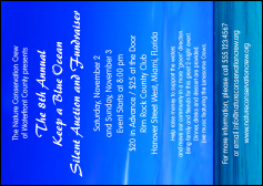 Nature Series - Blue Ocean Postcard
