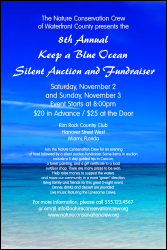 Nature Series Blue Ocean Poster noimages