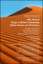 Nature Series - Desert Poster