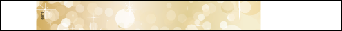 Gold Glitter Stocked Premium Synthetic Wristband (300 pack)