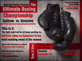 Boxing Gloves Flyer