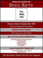 Sports Flyer 001 in Maroon and Silver