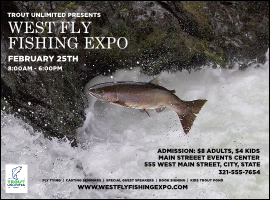 TU Steelhead Trout Flyer