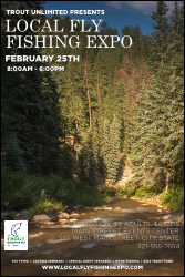 TU River in Pines Poster
