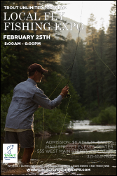 TU Small Stream Poster