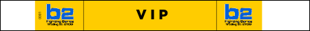 VIP Yellow Wristband