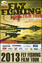 F3T 2013 Poster