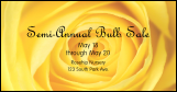 Yellow Rose Facebook Ad