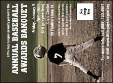 Baseball Invitation