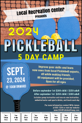 Pickleball Camp Image Poster