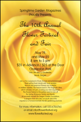 Yellow Rose Poster