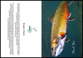 TU Brook Trout Thank You Card