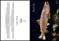 TU Brown Trout Thank You Card