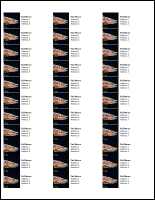 TU Brown Trout Address Labels