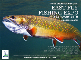 TU Brook Trout Flyer