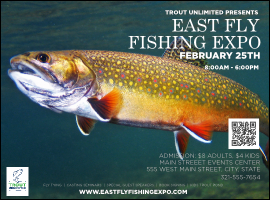 TU Brook Trout Flyer with QR Code Flyer