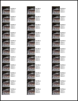 TU Steelhead Trout Address Labels