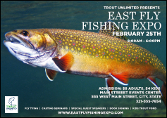 TU Brook Trout Postcard