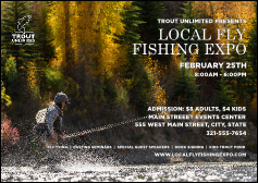 TU Woman Fishing Fall Postcard Mailer