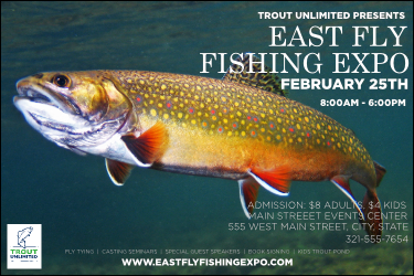 TU Brook Trout Poster