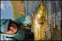 TU Woman Releasing Trout Pinterest Post
