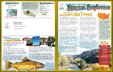 Gila Newsletter