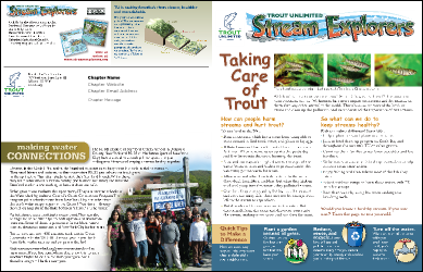 Human Impact Newsletter