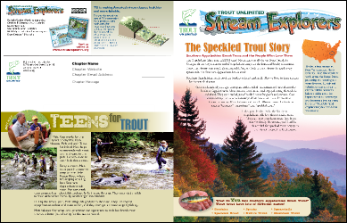 South Appalachian Newsletter