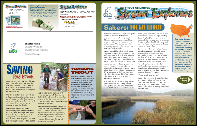 Salter Brookies Newsletter