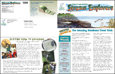Steelhead 1 Newsletter