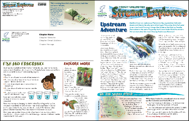 Steelhead 2 Newsletter