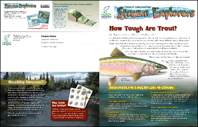 Stream Ecology Newsletter