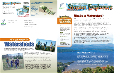 Watershed Newsletter