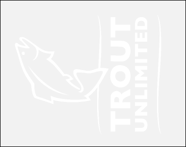 TU Logo Car Decal (Medium)