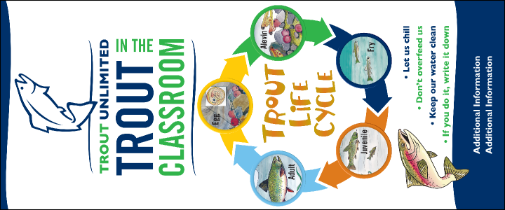 TIC Classroom 5x12 Sticker (customizable logo)