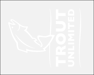 TU Logo Car Decal (Large)